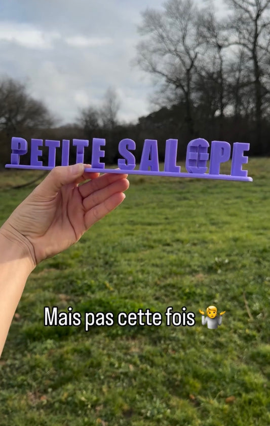 Fichier STL — caroline petite salope