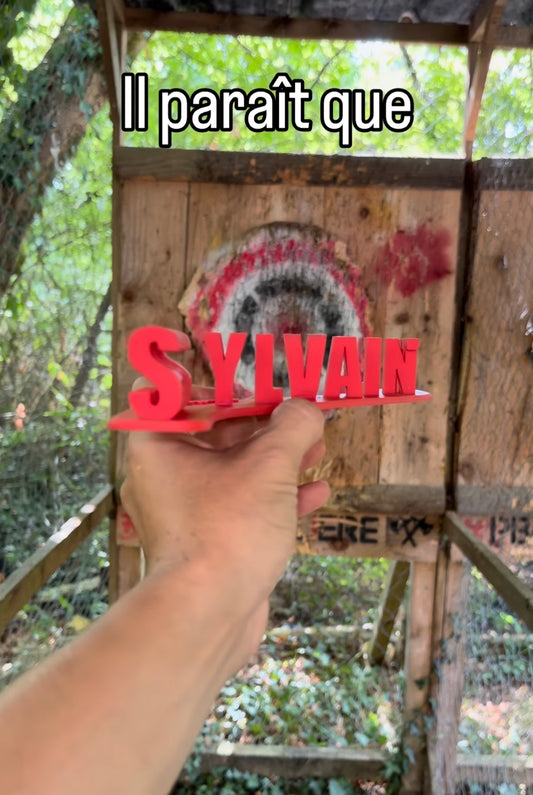Fichier STL — sylvain est un cretin v0