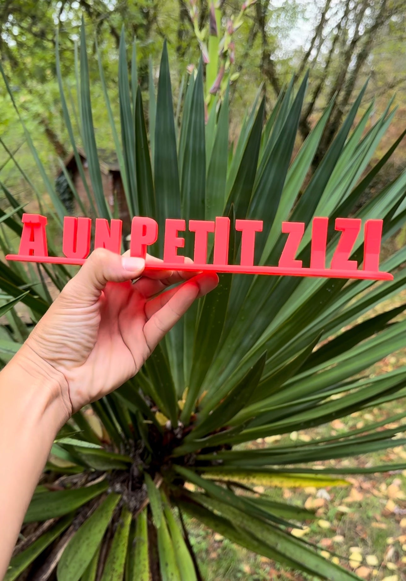Fichier STL — tony a un petit zizi v1
