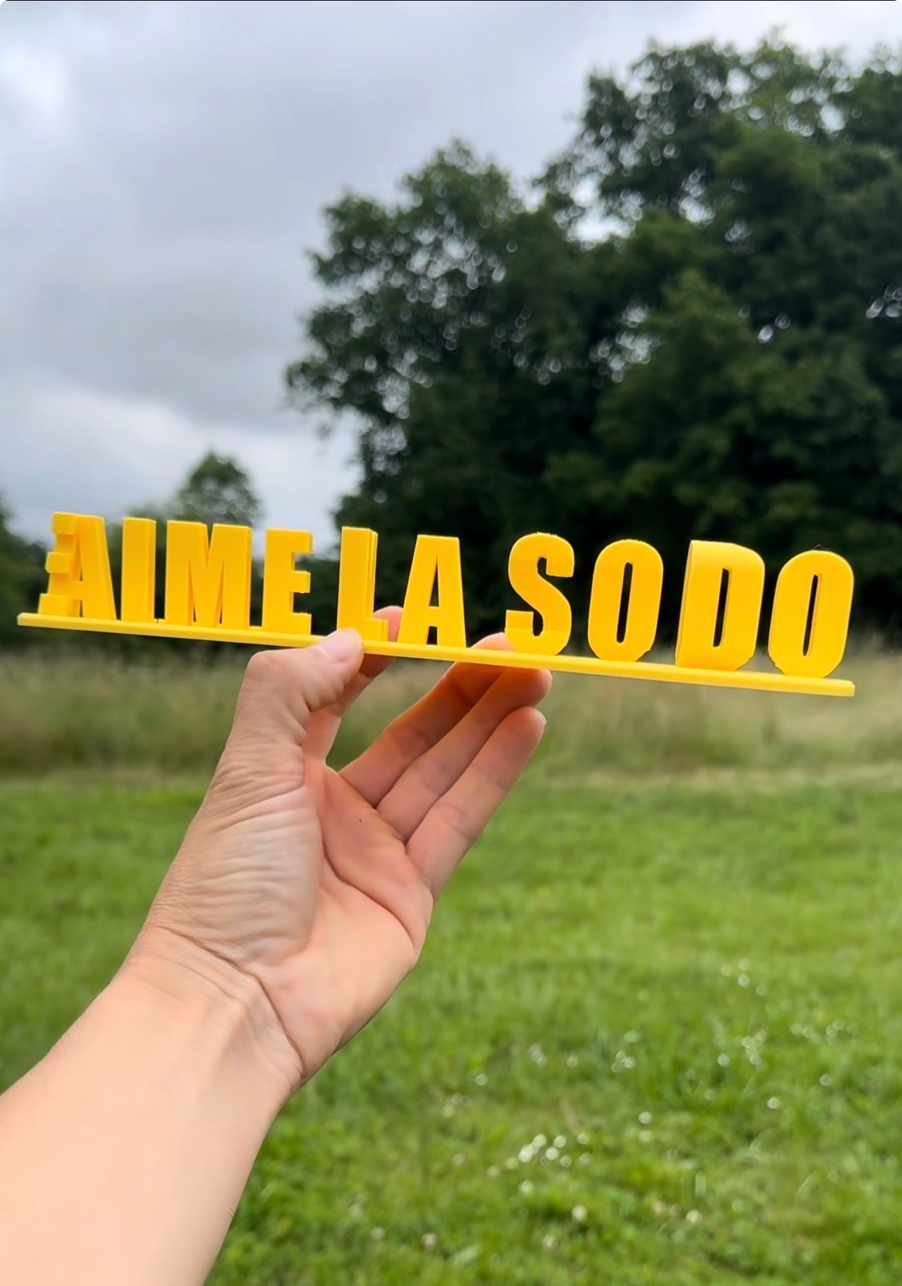 Fichier STL — enzo aime la sodo v1